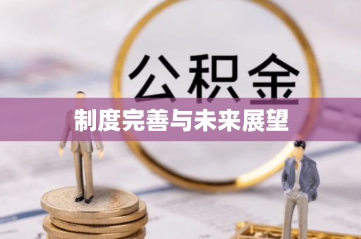 同江制度完善与未来展望