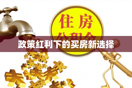 同江政策红利下的买房新选择