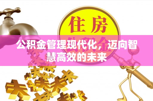 同江公积金管理现代化，迈向智慧高效的未来