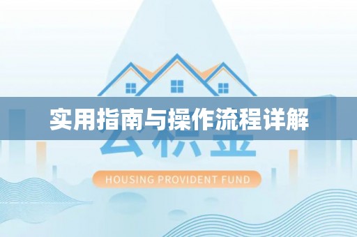 同江实用指南与操作流程详解